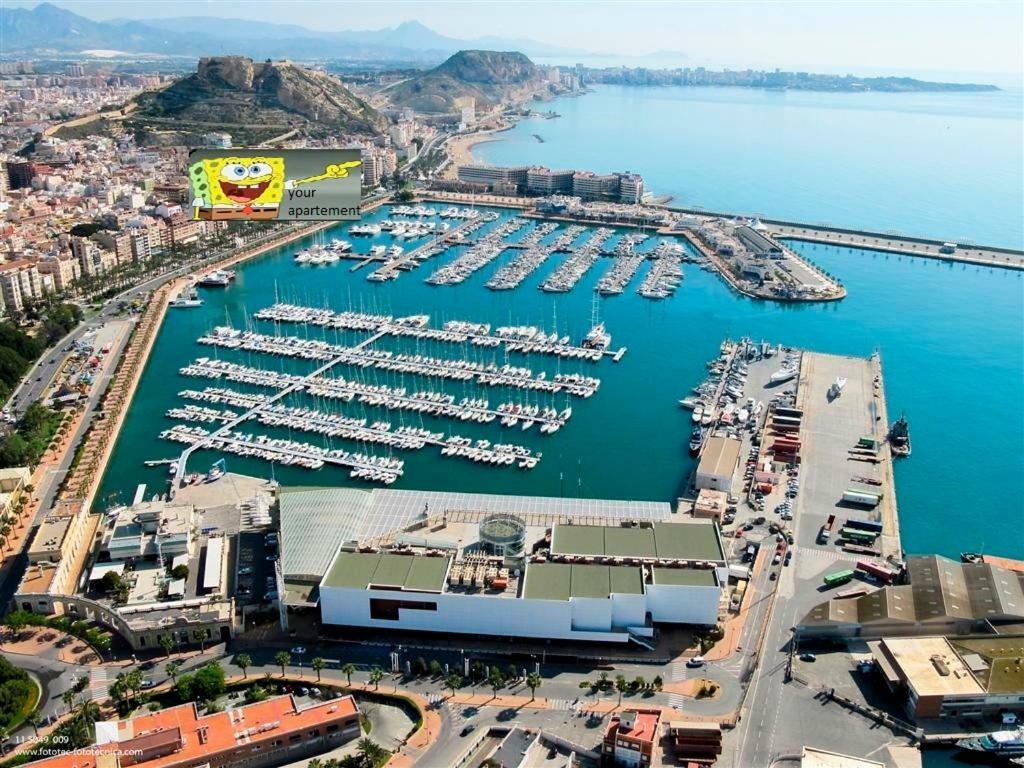 Beach, City Center And Entertainment Аликанте Экстерьер фото